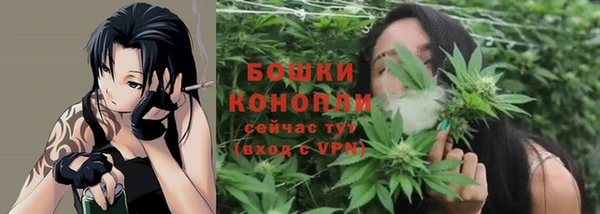винт Лабытнанги