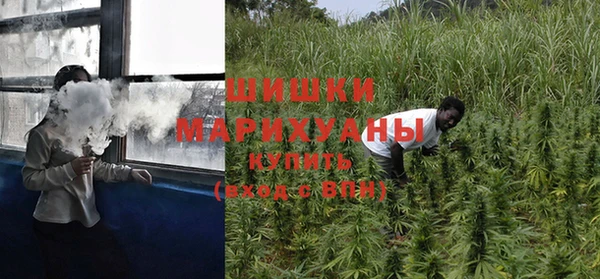 спиды Ладушкин