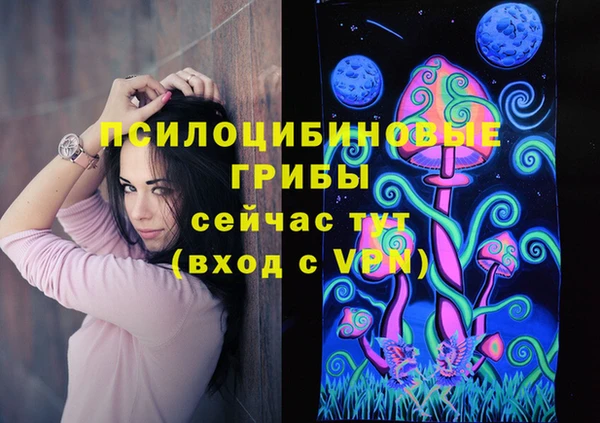 спиды Ладушкин