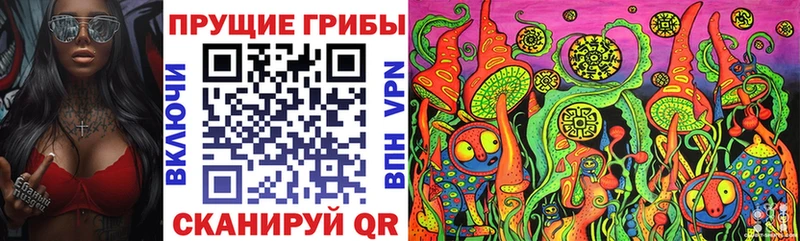 ОМГ ОМГ ссылка  Мглин  Псилоцибиновые грибы Cubensis 
